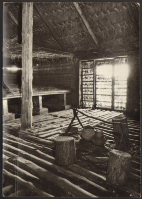 Biskupin 1959 [KO59 019] Gąsawa - Biskupin-wykopaliska